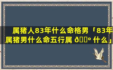 属猪人83年什么命格男「83年属猪男什么命五行属 🌺 什么」